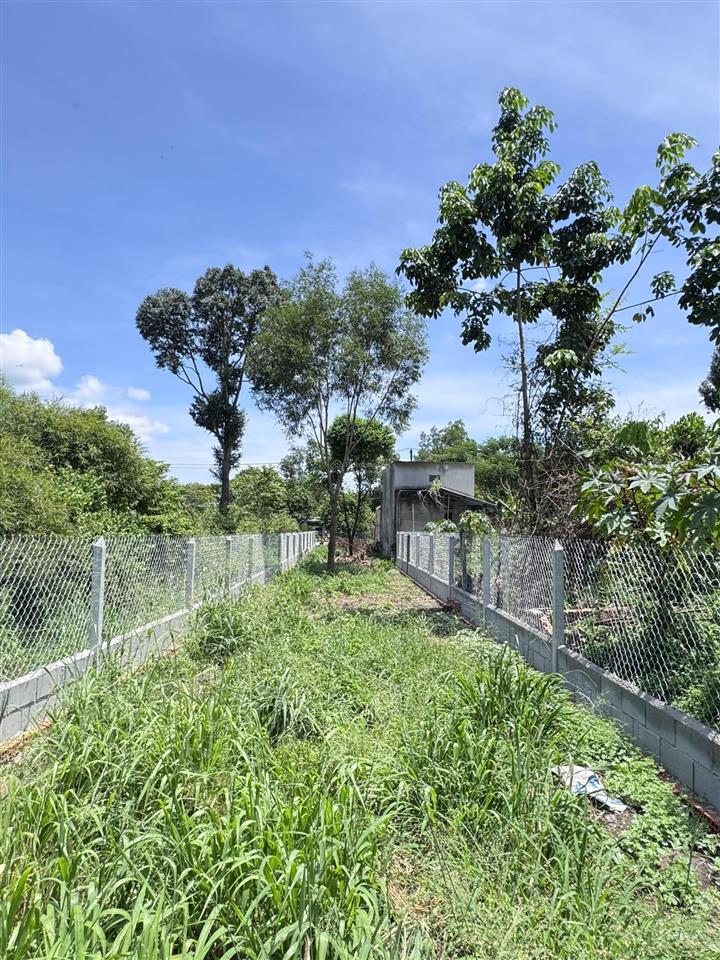 Mặt tiền kinh doanh đường lý thị chừng 20m xã phú hoà đông mới 5x49m. tổng 241.5m2. thổ cư 100%