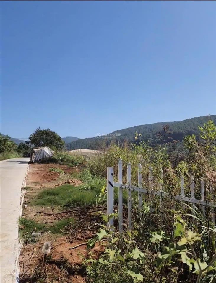 Bán đất tà nung (cam ly) đà lạt, 6200m2, mt ~70m, quy hoạch full thổ cư, giá chỉ 5tr/m2