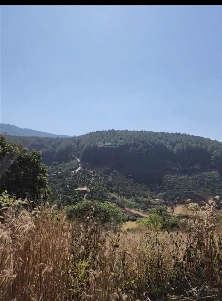 Bán đất tà nung (cam ly) đà lạt, 6200m2, mt ~70m, quy hoạch full thổ cư, giá chỉ 5tr/m2