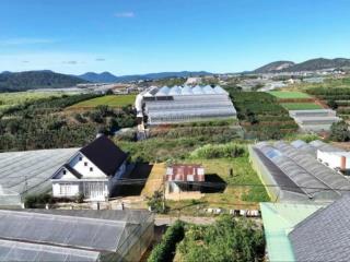 Bán đất xuân thọ đà lạt, 459m2, 400m xây dựng, mt 16m, đường nhựa 6m, giá 6.3 tỷ