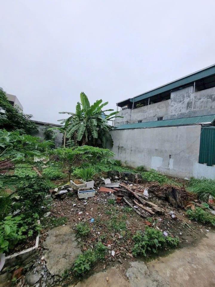 Bán 80m đất Thanh Lâm, Mê Linh. Đường rộng oto quay đầu. Gần khu đất dịch vụ thôn Phù Trì