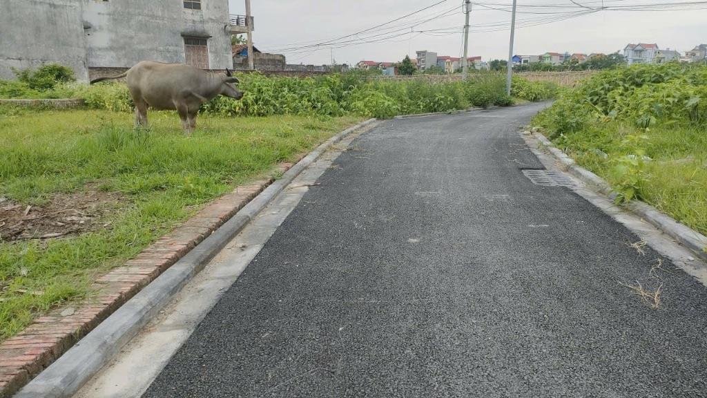 Bán 69m đất Mê Linh. Đường nhựa, ô tô đỗ. Cách khu công nghiệp Quang Minh 1km.