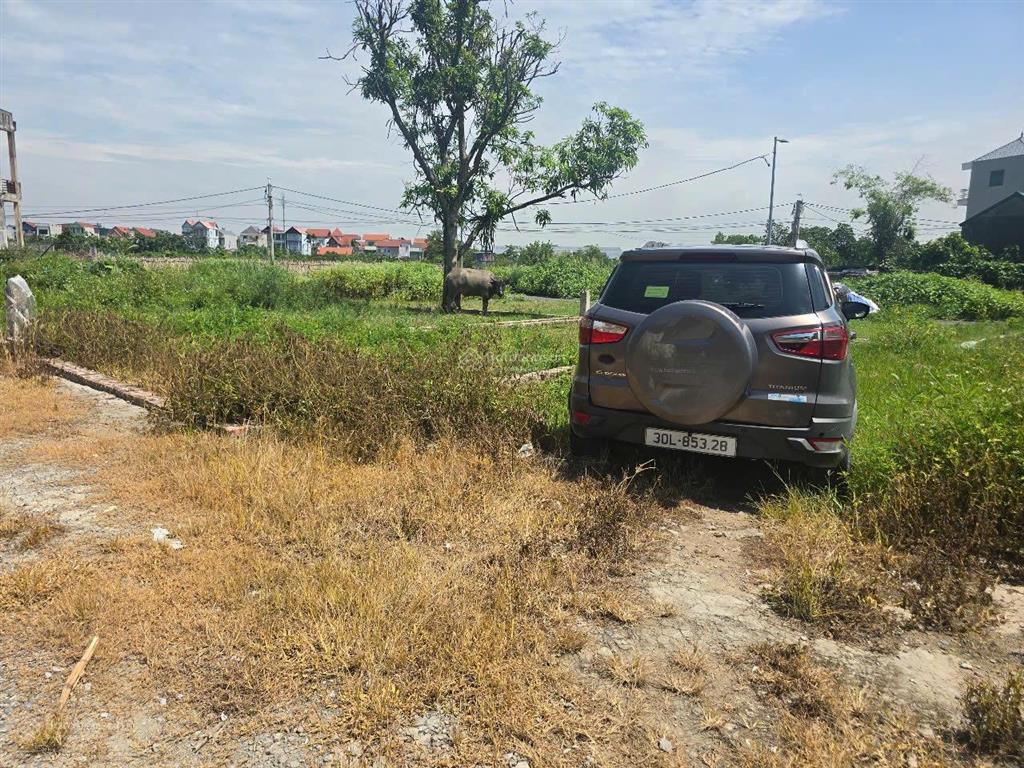 Chính chủ bán gấp lô đất tại quang minh, mê linh. gần khu công nghiệp, đường rộng, ô tô đỗ