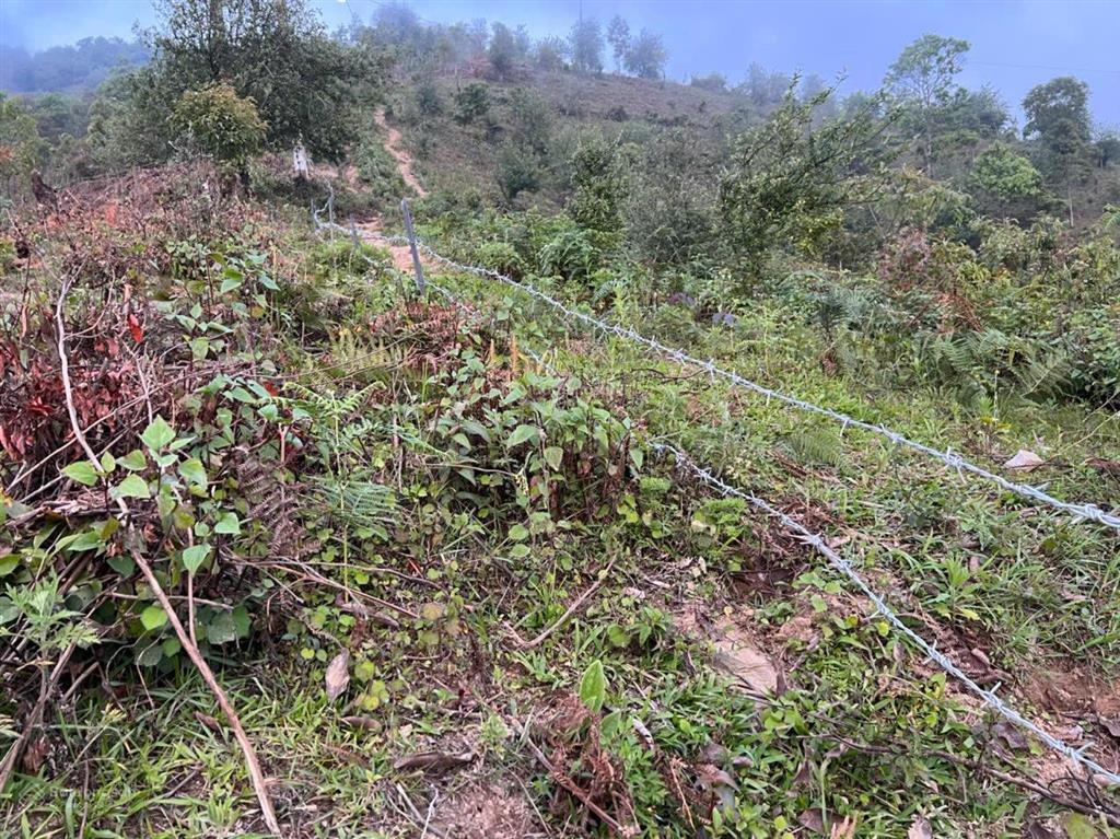 Bán gấp đất qh thổ cư 3658m2 tại đường 112, xã tà xùa, giá 950 triệu (chốt nhanh)