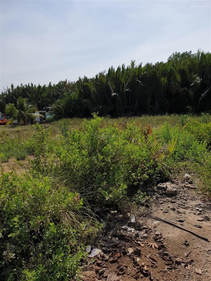 Bán 1.235m2 thổ cư cần đước, sát sông vàm cỏ, pháp lý chuẩn, chốt trong tháng giêng tặng thêm đất
