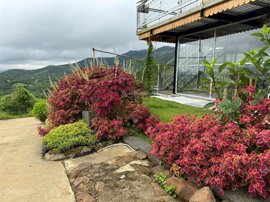 Chính chủ bán 1021m2 khu cộng đồng làng oa hiện hữu tại bảo lâm 3 (lộc thành cũ)