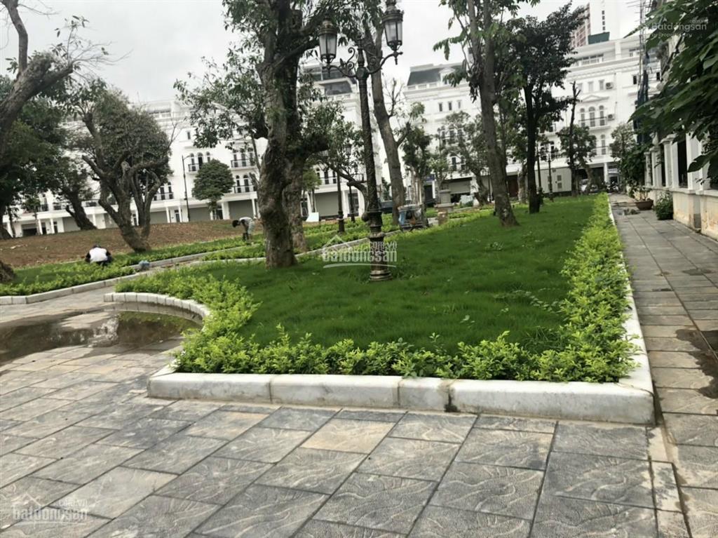Chính chủ gửi bán căn góc đẹp siêu hiếm tại kđt louis city giá chỉ ngang căn thường