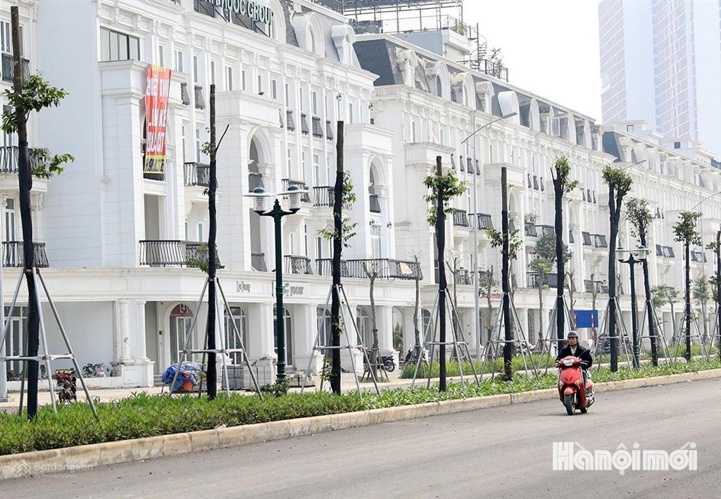 Ngộp bank chủ nhà cần bán nhanh căn lk xẻ khe 3 mặt thoáng tại kđt louis city lê giản chỉ 27 tỷ