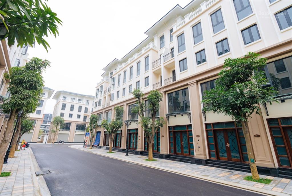 Bán nhanh shophouse đại lộ bốn mùa đlbm85, 110m² giá 22.230 tỷ  căn thô, 2 mặt tiền, sát công viên