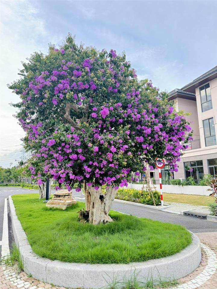 Cho thuê biệt thự khu đô thị hàn quốc zeitgeist, nhà mới + nội thất mới 100%  0987 490 ***