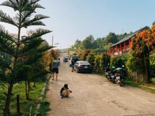 Nền 1200m2 view đồi cao gần 1000m tại bảo lộc, sẵn 500m2 thổ cư, shr công chứng, dân cư đông đúc