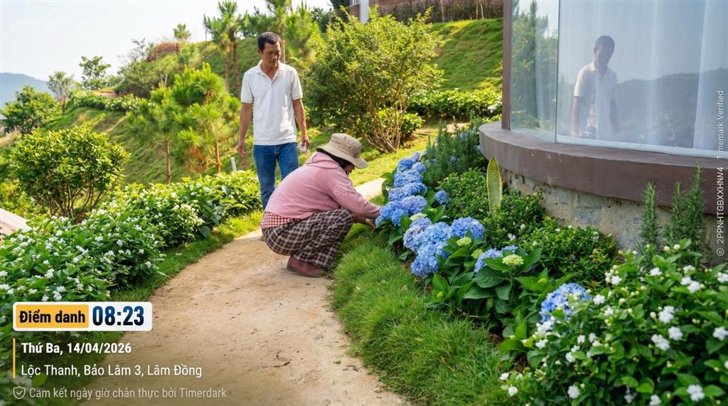 Vân thôn retreat 1000m2, pháp lý hạ tầng  dịch vụ sẵn sàng, dân cư ở thực, thiên nhiên nguyên bản