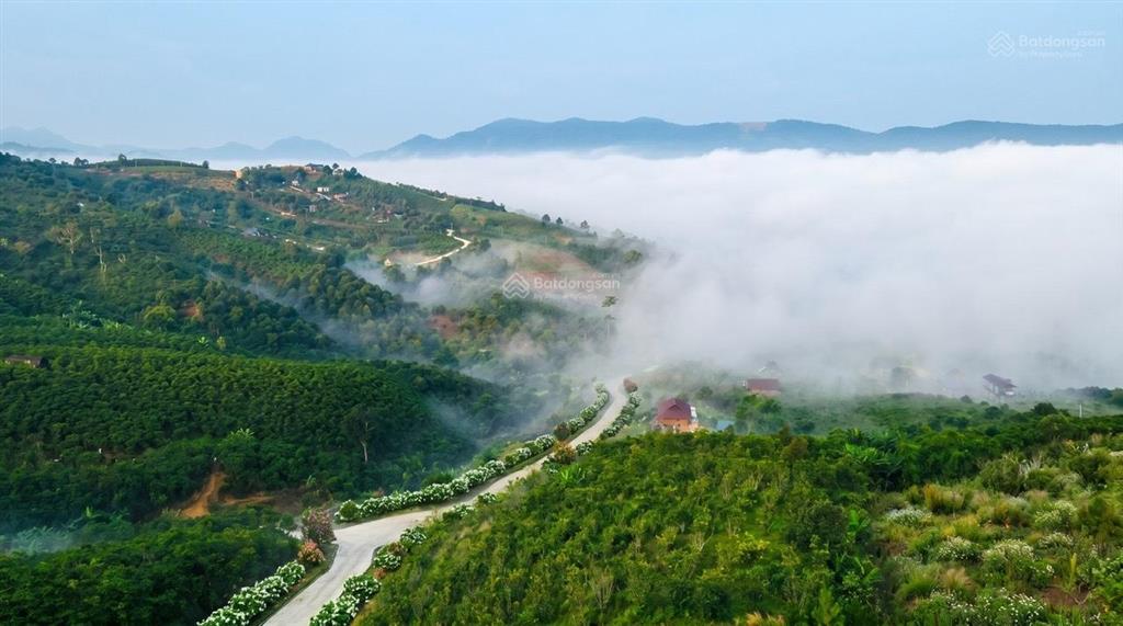 Vân thôn retreat 1000m2, pháp lý hạ tầng  dịch vụ sẵn sàng, dân cư ở thực, thiên nhiên nguyên bản