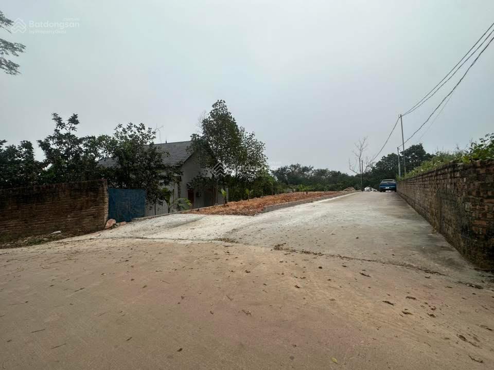 Siêu phẩm trung giã mới  giá rẻ giật mình chỉ hơn 7** triệu/lô!