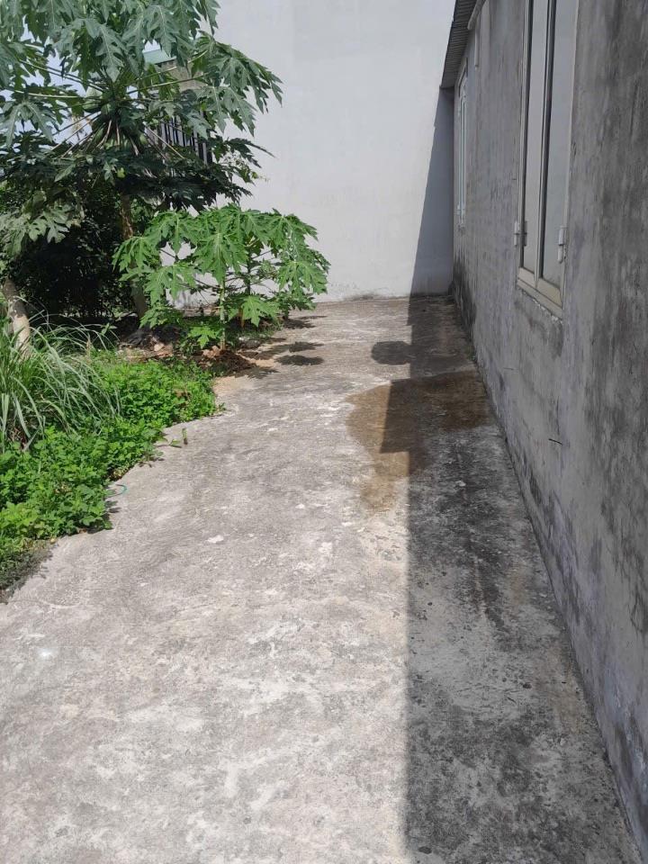  Lô đất ngõ 54 Tràng Cát, Hải An ngõ  rộng 2,5m lô góc siêu hiếm giá đầu tư