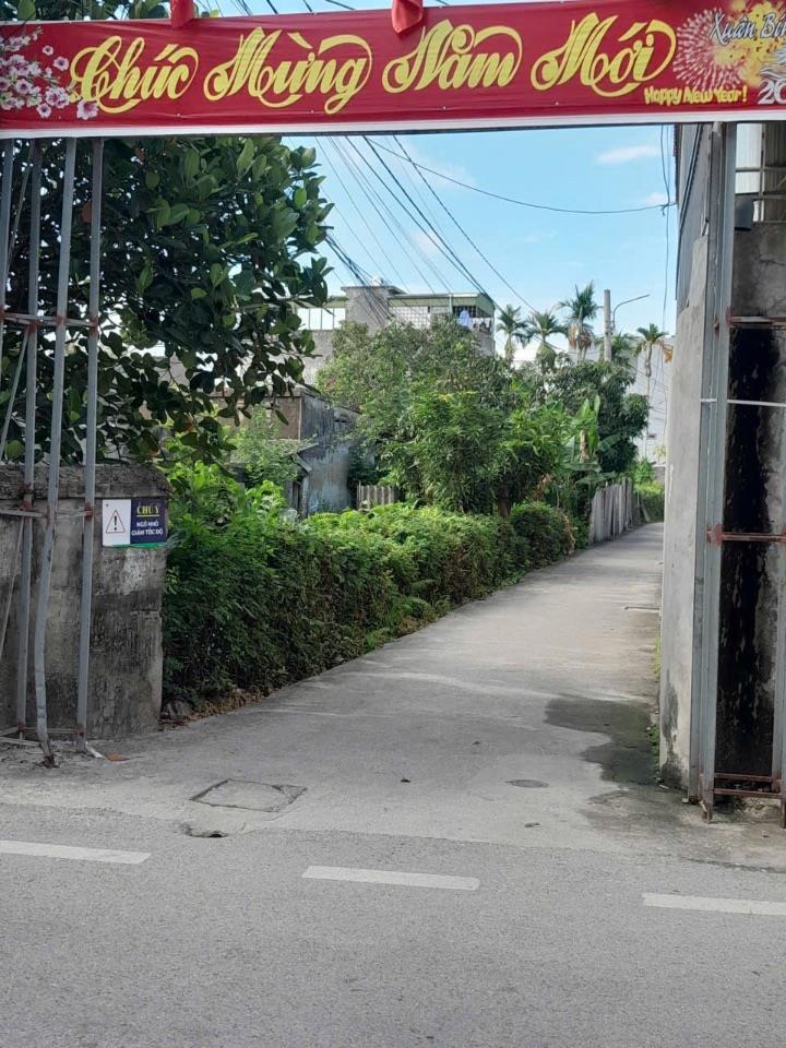  Lô đất ngõ 54 Tràng Cát, Hải An ngõ  rộng 2,5m lô góc siêu hiếm giá đầu tư