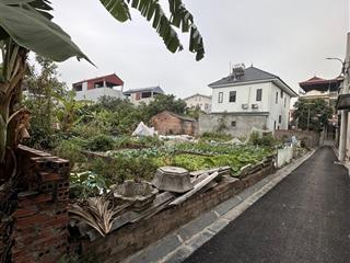 Quỹ đất cuối cùng 45m² chỉ 2,x tỷ tại đường yên, đông anh  ô tô đỗ cửa  đường nhựa đẹp
