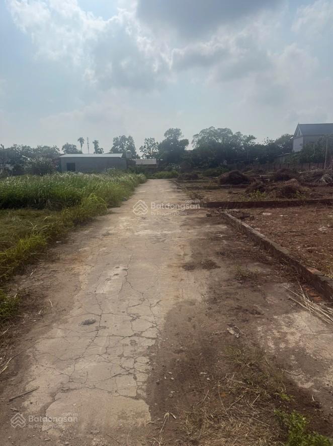 Chính chủ cần bán 303m2 đất đẹp tại lập trí, kim anh  vị trí tiềm năng  khu vực phát triển mạnh