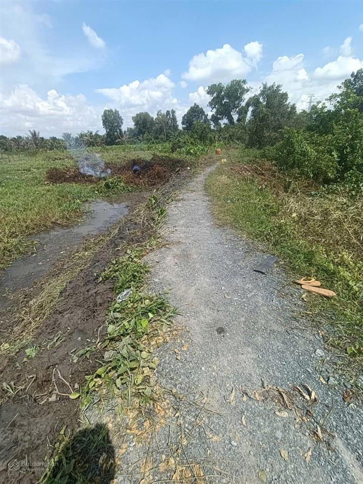 Chính chủ bán 3.369m2 đất xã trung an, củ chi, tp.hcm  giá chỉ 3,5 tỷ, cơ hội đầu tư hấp dẫn