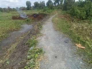 Chính chủ bán 3.369m2 đất xã trung an, củ chi, tp.hcm  giá chỉ 3,5 tỷ, cơ hội đầu tư hấp dẫn