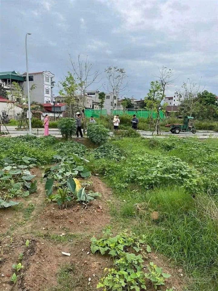 Rẻ nhất khu tái định cư thư lâm, đông anh  vị trí đẹp  gia đình cần vốn nên bán gấp