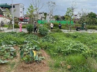 Rẻ nhất khu tái định cư thư lâm, đông anh  vị trí đẹp  gia đình cần vốn nên bán gấp