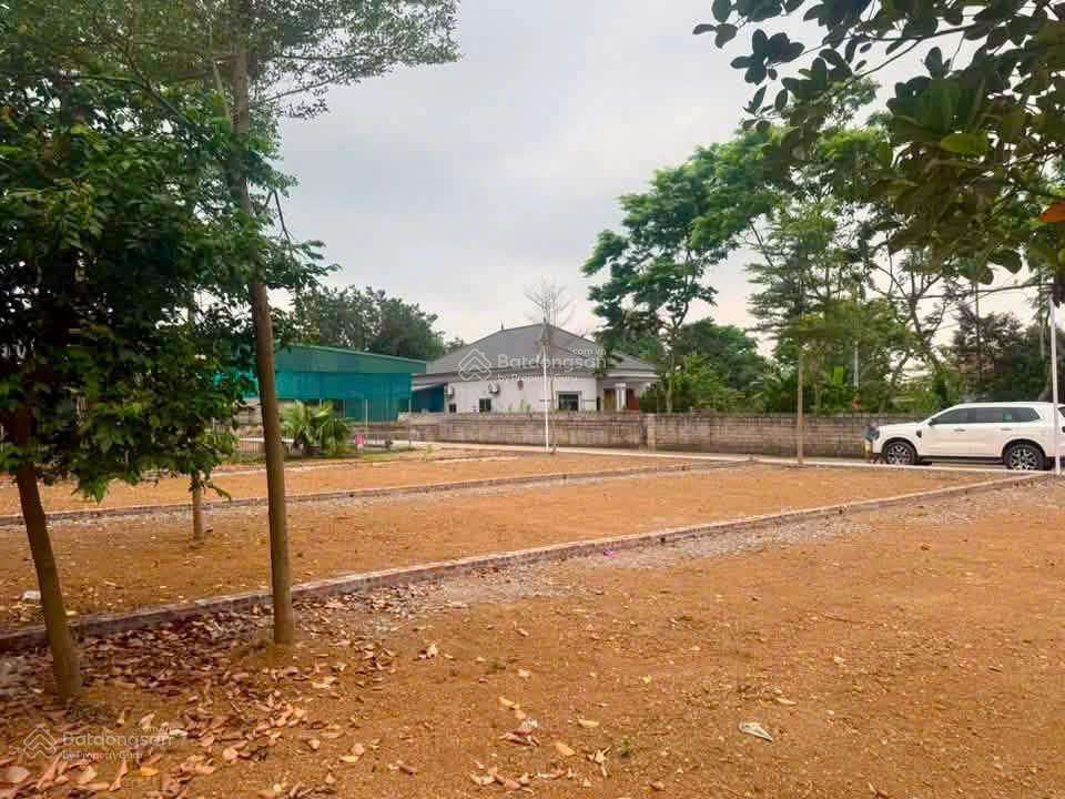 Đất đẹp gò sống, suối hai, hà nội full thổ cư 150m2, đối diện kđt tản viên sơn, tiềm năng tăng giá