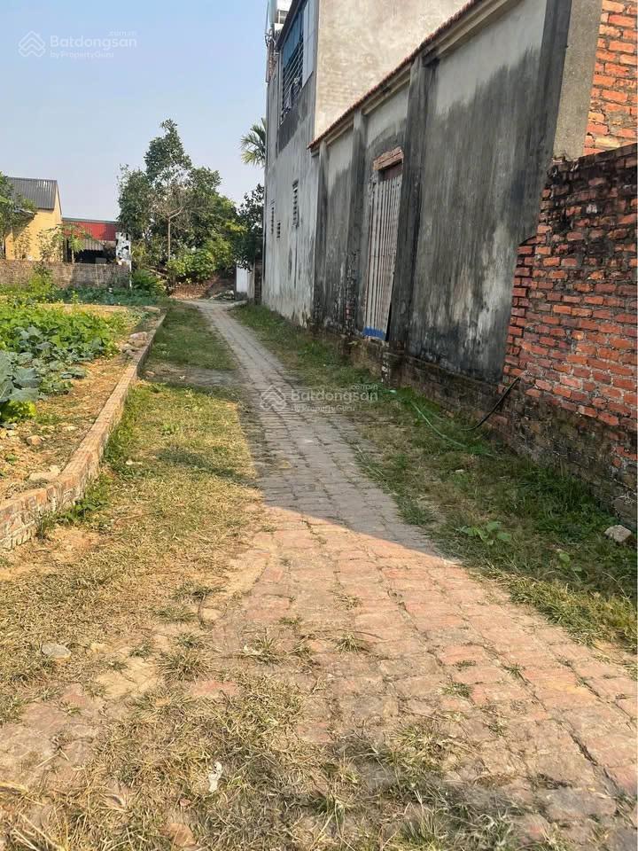 Đất nền sóc sơn hà nội 100m² chỉ hơn 2 tỷ  sổ đỏ sẵn, ô tô vào đất, cơ hội đầu tư tăng giá