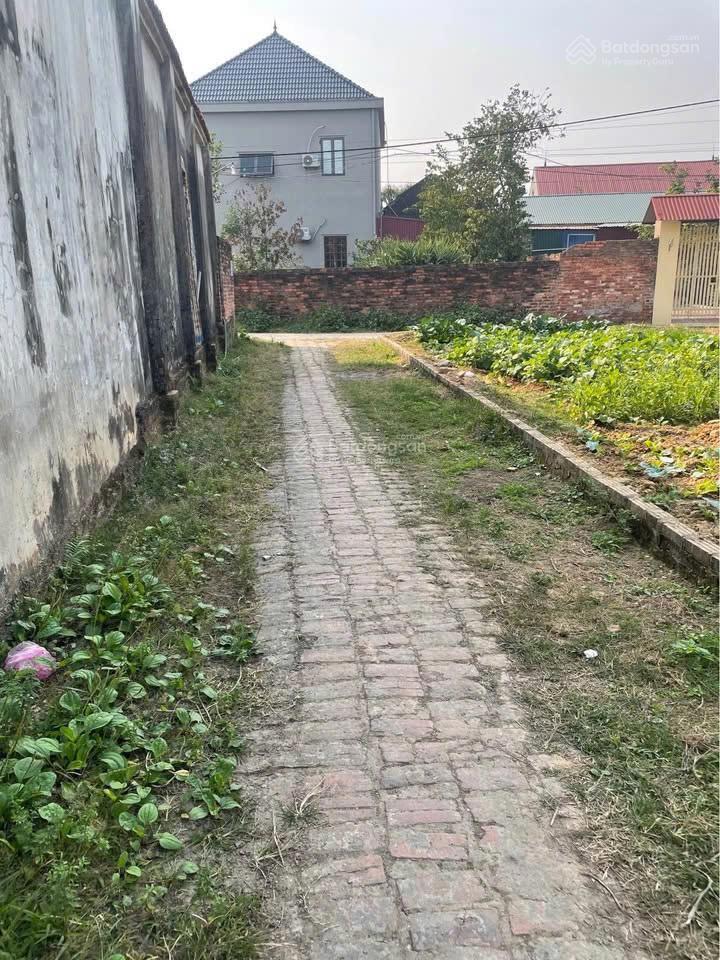 Đất nền sóc sơn hà nội 100m² chỉ hơn 2 tỷ  sổ đỏ sẵn, ô tô vào đất, cơ hội đầu tư tăng giá