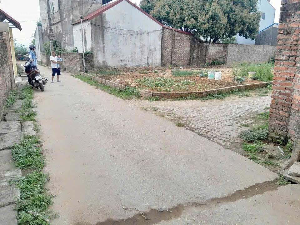 Đất nền sóc sơn hà nội 100m² chỉ hơn 2 tỷ  sổ đỏ sẵn, ô tô vào đất, cơ hội đầu tư tăng giá