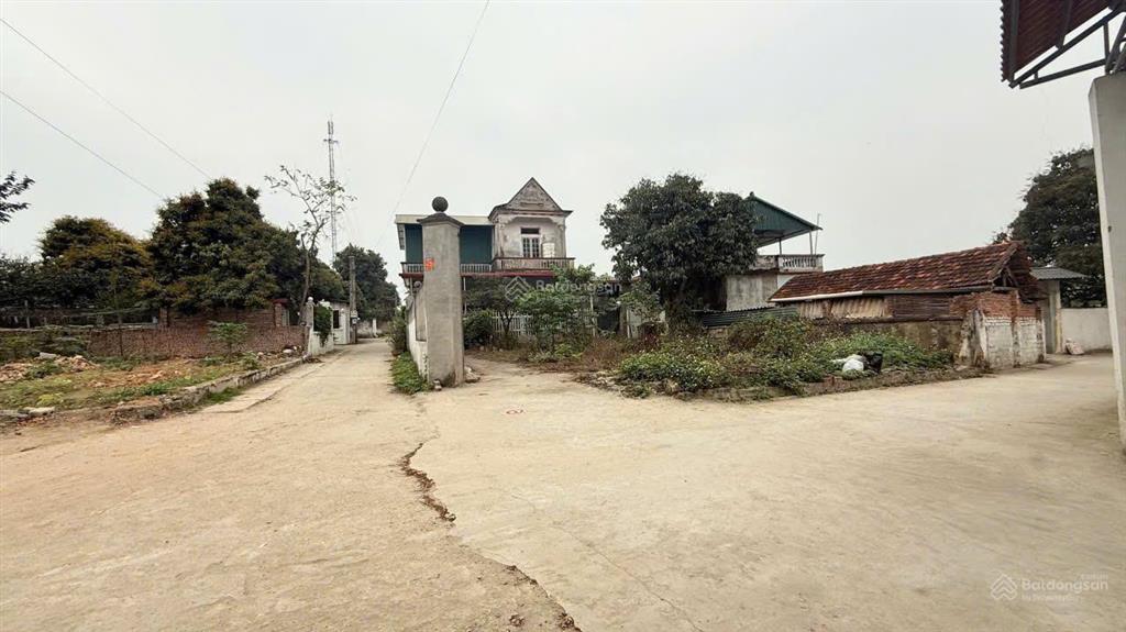 Chính chủ bán lô góc tam dương vĩnh phúc 111m2 băng 2 đt306, băng 2 đt309, đầu tư sinh lời hấp dẫn