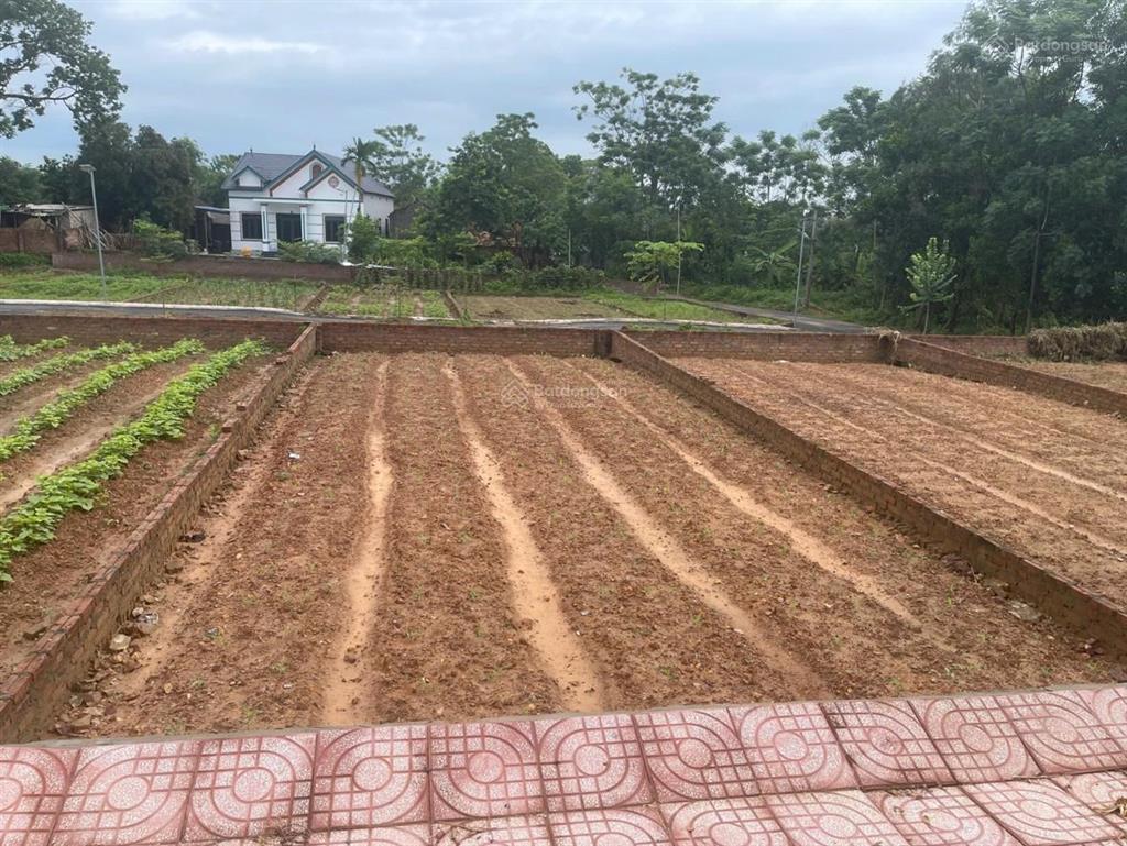 Lô góc 2 mặt tiền tiên chu  trung giã  hà nội  gần quốc lộ 3  đầu tư tiềm năng, an cư lý tưởng