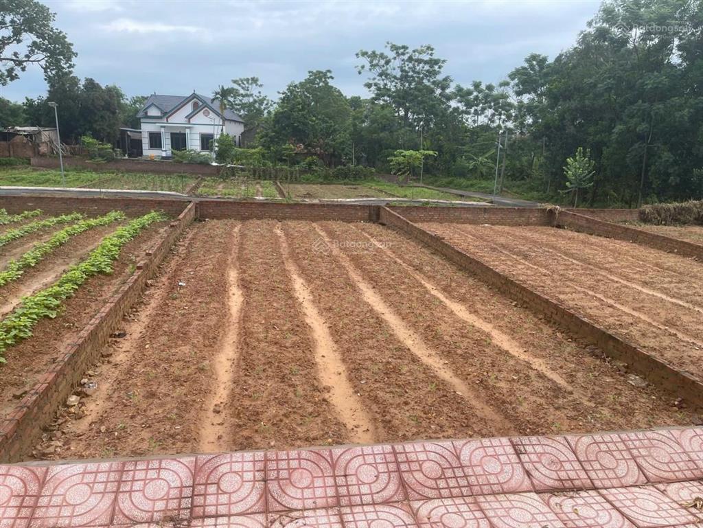 Lô góc 2 mặt tiền tiên chu  trung giã  hà nội  gần quốc lộ 3  đầu tư tiềm năng, an cư lý tưởng