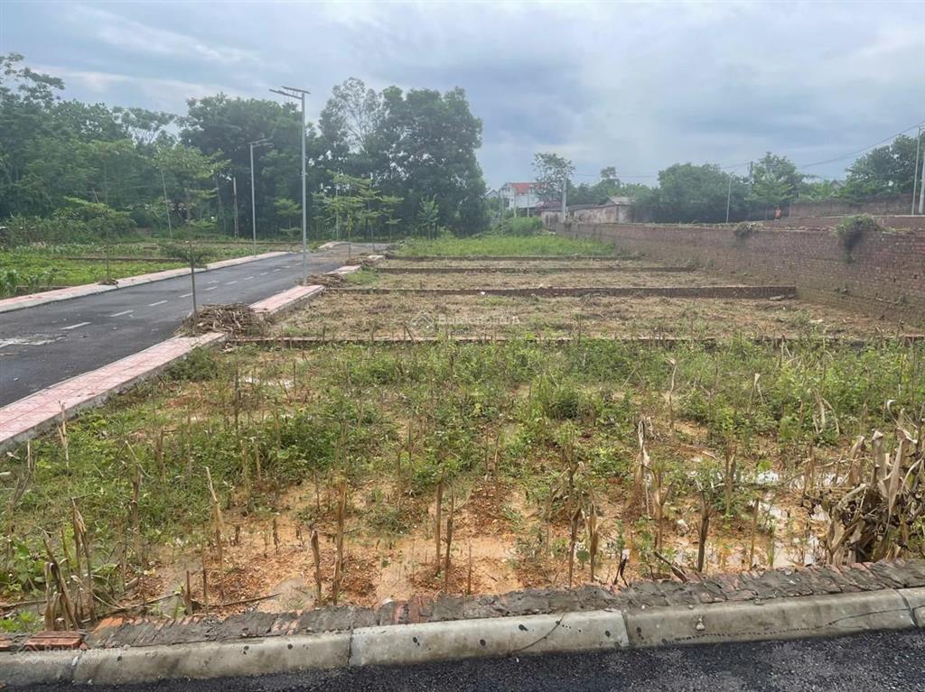 Lô góc 2 mặt tiền tiên chu  trung giã  hà nội  gần quốc lộ 3  đầu tư tiềm năng, an cư lý tưởng