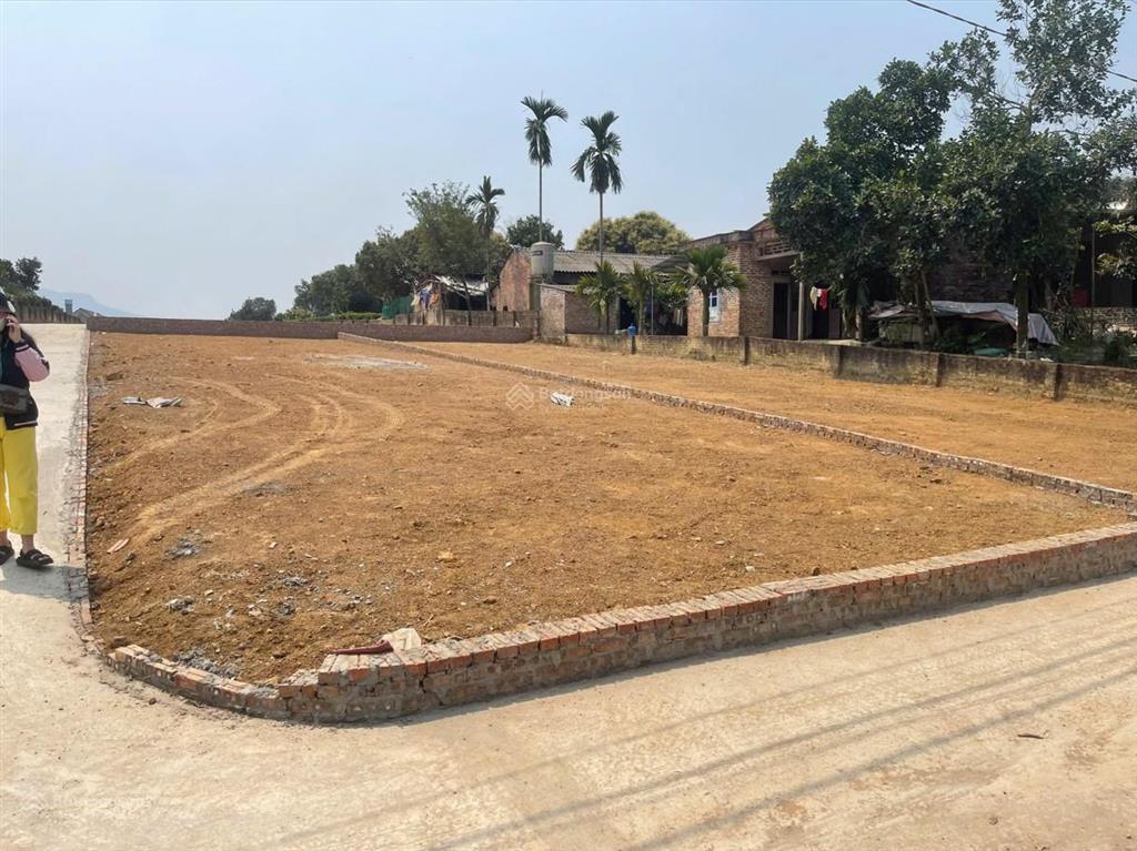 Chính chủ bán đất thôn cẩm an, xã cẩm lĩnh, ba vì, hà nội  232m2, thích hợp đầu tư dài hạn
