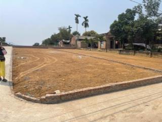 Chính chủ bán đất thôn cẩm an, xã cẩm lĩnh, ba vì, hà nội  232m2, thích hợp đầu tư dài hạn