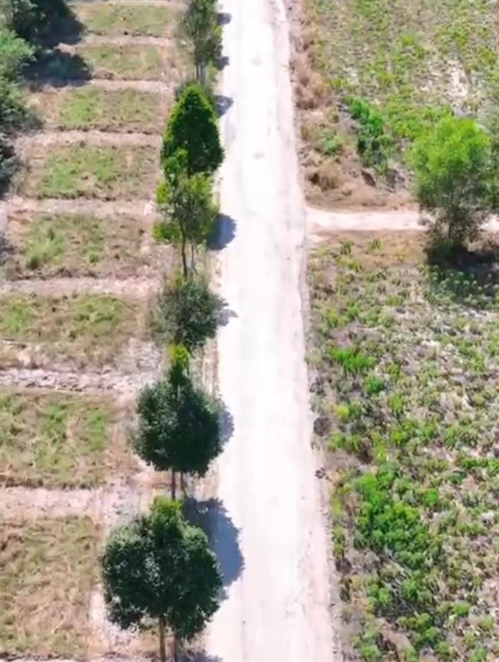 Bán đất tại đường vành đai kcn becamex, 680 triệu, 325m2, p. chơn thành, bình phước