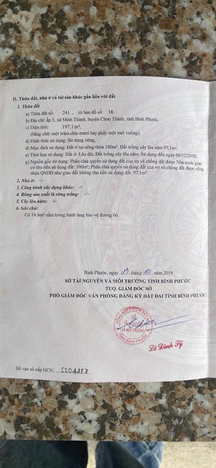 Đất mặt tiền vành đai kcn becamex đường 29 đang lên nhựa, giá ngộp rẻ hơn thị trường hơn 100tr