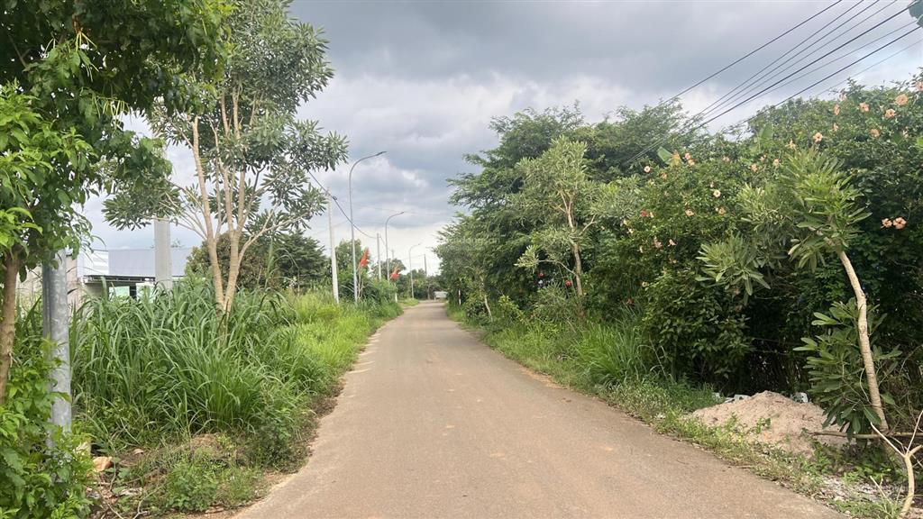 Bán đất đẹp  rẻ tại xuân sơn, tp hcm (ven biển hồ tràm brvt) đầu tư lô đất thổ cư giá siêu hời