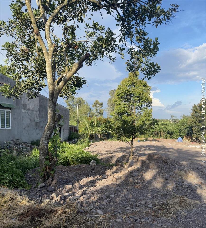 Bán đất trống xã thống nhất, đồng nai đối diện đức mẹ núi cúi, cụm công nghiệp phú cường