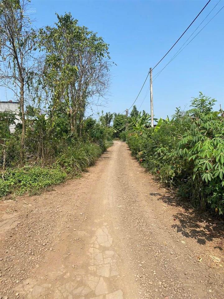 Đất đầu tư tại trảng bom, đồng nai  với diện tích 8800m2, giá 3,4 tỷ vnd. vay bank 70%