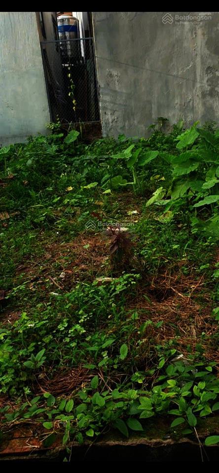 Bán 50m2 đất tại giang biên, phường việt hưng. ngõ thông, đường rộng ô tô ra vào tận nhà thoải mái