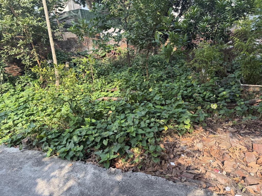 Bán đất ở kiêu kỵ, 2,66 tỷ, 43m2, ngõ 2.5m, pháp lý đầy đủ, view đẹp