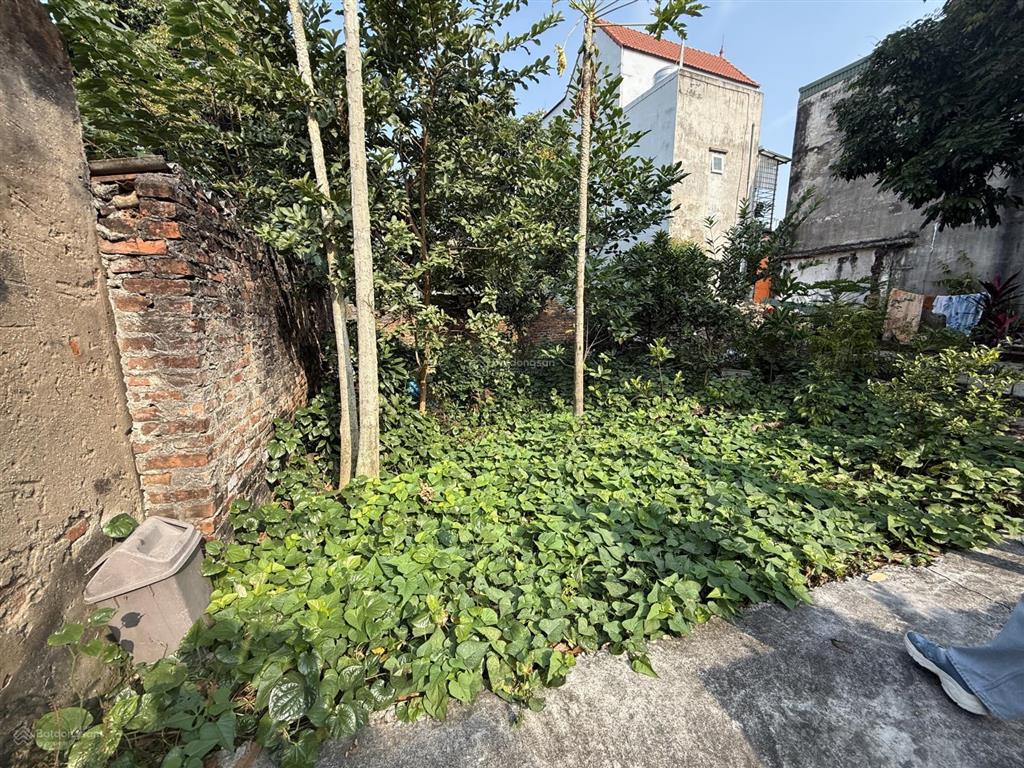 Bán đất ở kiêu kỵ, 2,66 tỷ, 43m2, ngõ 2.5m, pháp lý đầy đủ, view đẹp