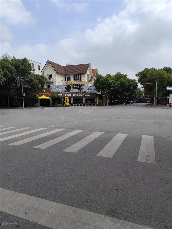 Bán siêu biệt thự vip việt hưng 176m², mt 9,8m, 4 tầng giá 56 tỷ có tl