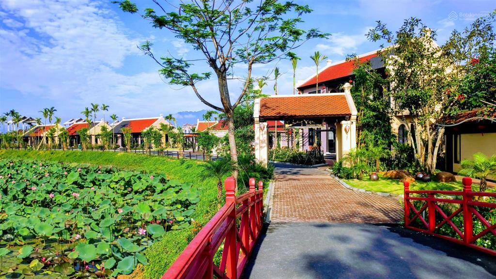 Ngoại giao! biệt thự bản giới hạn hồng liên, giá hời dự án chỉ 13 triệu/m2 full nội thất 5*