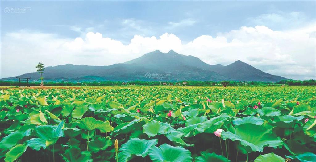 Suất ngoại giao!!! tổng giá chỉ 3,9 tỷ biệt thự view 2 mặt hồ sen đẹp nhất dự án full nội thất 5*