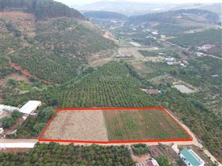 Tôi bán 100m2 đất thổ cư, tại mê linh, lâm hà, cách đà lạt 30 phút, sân bay 40p
