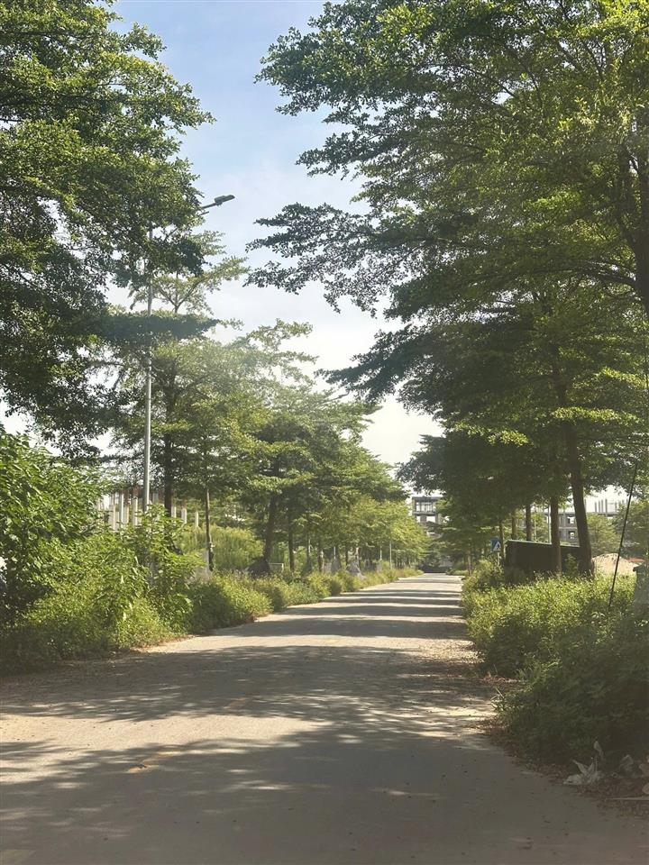 Bán đất nền dự án tại dabaco thuận thành, 85m2, view vườn hoa giá 5. x tỷ