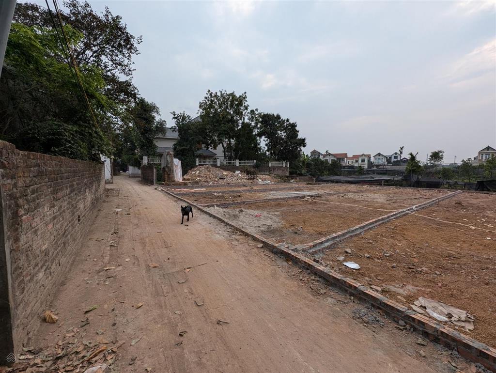 Bán đất ở 119m2 nở hậu tại tích lộc, đan phượng